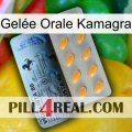 Gelée Orale Kamagra 44